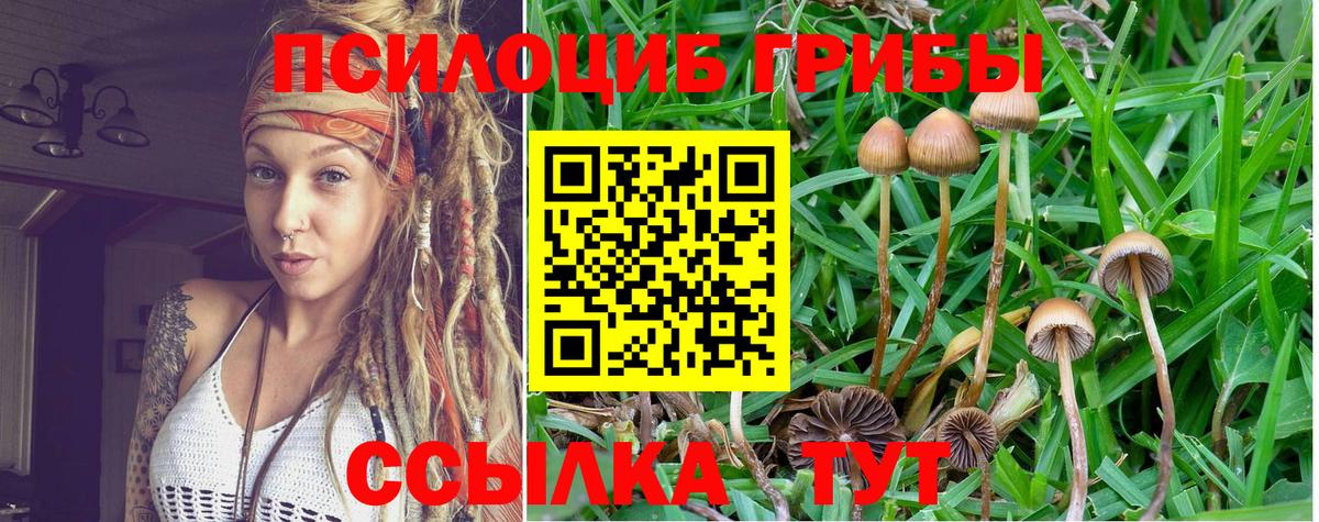Псилоцибиновые грибы GOLDEN TEACHER Знаменск