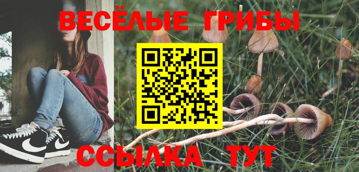 купить наркоту  Галлюциногенные грибы Psilocybe  Вход с VPN  Знаменск 