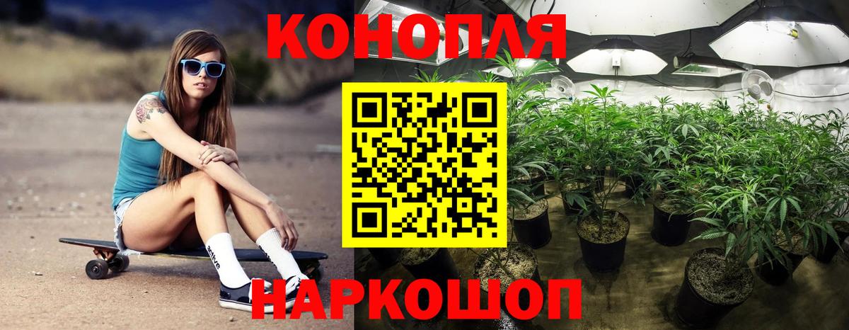 МАРИХУАНА сатива Знаменск