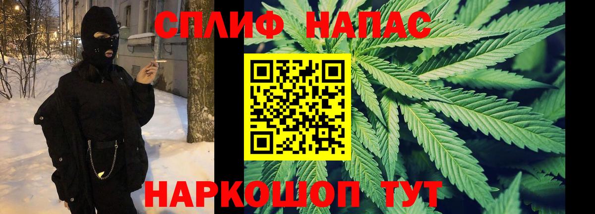 Бошки Шишки тримм  Вход с VPN  МАРИХУАНА конопля  Знаменск 